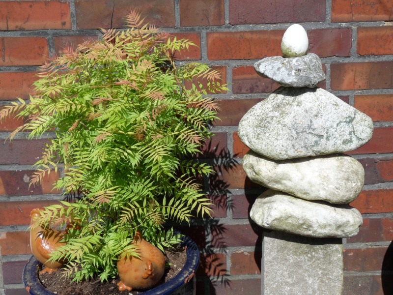 Garten Ewert in Datteln, Kreis Recklinghausen.
